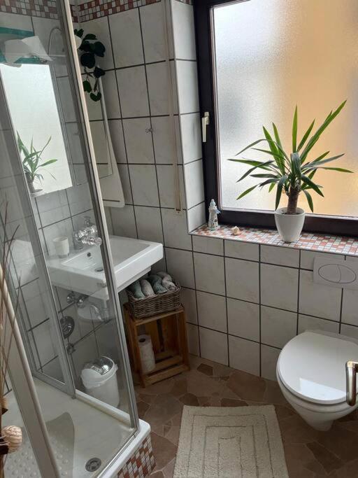 2-Zimmer Wohnung 80Qm Bis 4Pers. Winningen Buitenkant foto